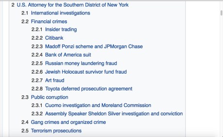 Erdogan-rock-star - 1 (1)